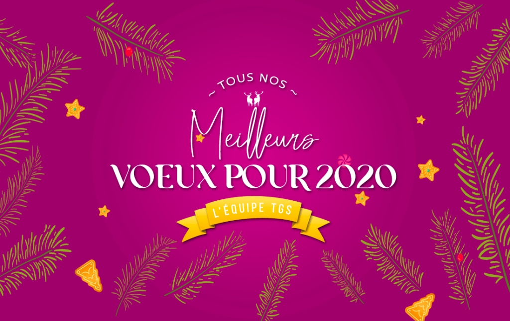 Meilleurs voeux 2019